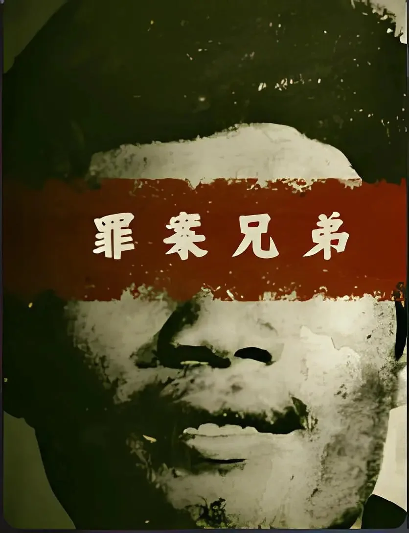 罪案兄弟