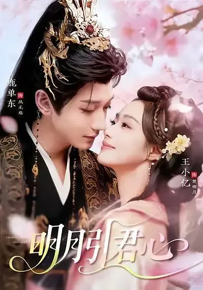 明月引君心